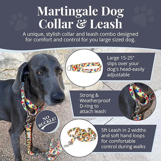 Lucky Love Dog Martingale Dog Collar & Leash - Adjustable, No-Slip, Durable, Comfortable, Soft Webbing, & Stylish Patterned Collar & Leash Set for Male and Female Dogs - Oscar Combo, Large