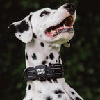 Tuff Pupper Heavy Duty Tactical Dog Collar | 1.5" Wide Ballistic Nylon | Reflective Stitching | Integrated ID Tag Holder | Stainless Steel Buckle | Padded Lining | Medium & Large Dogs (Black, Large)