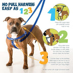 2 Hounds Design Freedom No Pull Dog Harness, Adjustable Harness, Easy Walking & Comfortable Control, Fits Small, Medium & Large Dogs, Solid Colors, Made in USA, 5/8" SM, Burgundy
