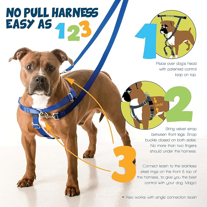 2 Hounds Design Freedom No Pull Dog Harness, Adjustable Harness, Easy Walking & Comfortable Control, Fits Small, Medium & Large Dogs, Solid Colors, Made in USA, 1" MD, Yellow