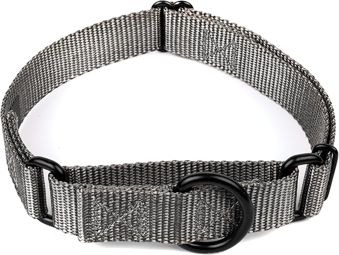 Country Brook Petz - Martingale Dog Collar - Heavy-Duty Training Collar with No Buckle - Service Dog Collar for All Pups - 10+ Cool Colors (Charcoal, 3/4 Inch, Small)