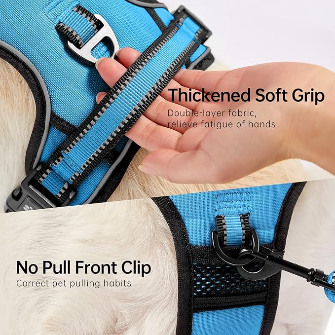NESTROAD No Pull Dog Harness,Adjustable Oxford Dog Vest Harness with Leash,Reflective No-Choke Pet Harness with Easy Control Soft Handle for Small Dogs(X-Small,Blue)