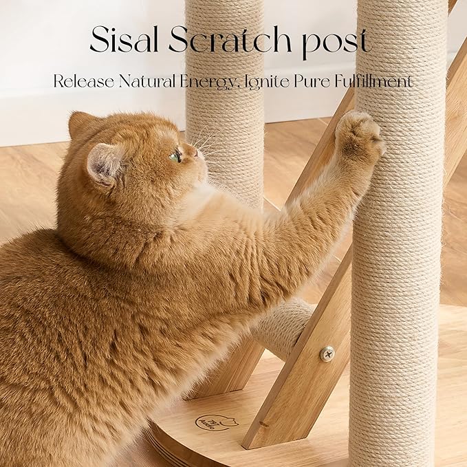 797Audio Morden Solid Wood Cat Tree Tower, 49" Tall Cat Tree with Sisal Scratching Posts and Ladder for Adult Cats, Natural Oak Wooden Cat Tower, Aesthetic Multi-Level Cat Climbing Tree for Indoor Cat