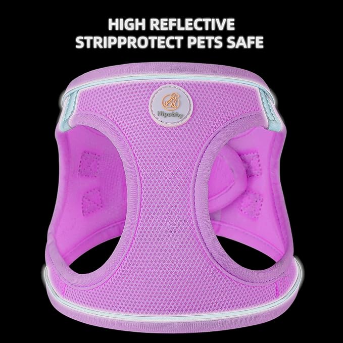 Hipubby Dog Harness and Leash Set, No Pull Soft Mesh Puppy Harness for Small Medium Dogs, Cats - Step in Reflective Breathable Lightweight Vest Harness for Walking, Training - Purple, L