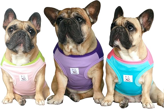 iChoue 3pcs French Bulldog Summer Cooling Shirt for Dogs UV Sun Protection Vest Sleeveless Breathable Tank Top English Pug Pink Green Purple Turquoise Rose - Large