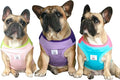 iChoue 3pcs French Bulldog Summer Cooling Shirt for Dogs UV Sun Protection Vest Sleeveless Breathable Tank Top English Pug Pink Green Purple Turquoise Rose - Large