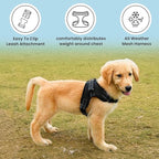 No Pull Reflective Adjustable Dog Harness With Handle- Comfortable Soft All Weather Mesh, Easy On Puppy Harness For Small Medium and Large Dogs (Black) Large