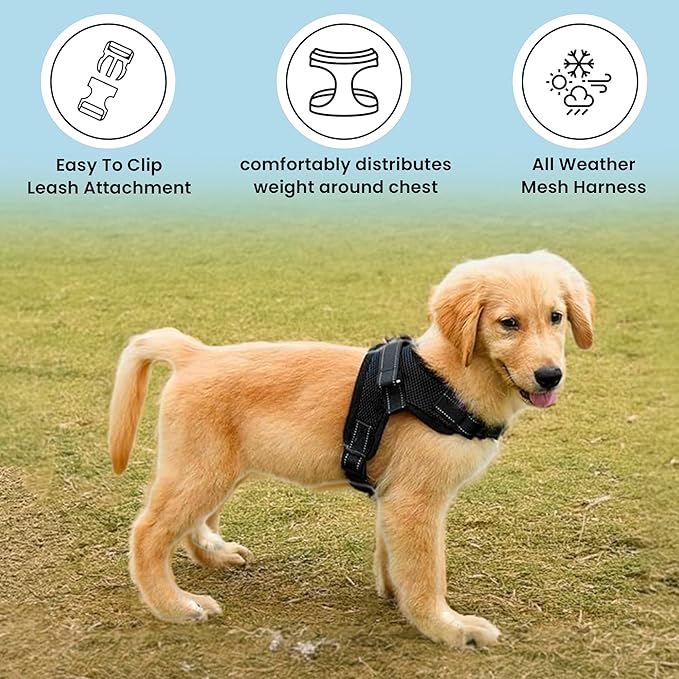 No Pull Reflective Adjustable Dog Harness With Handle- Comfortable Soft All Weather Mesh, Easy On Puppy Harness For Small Medium and Large Dogs (Black) Large