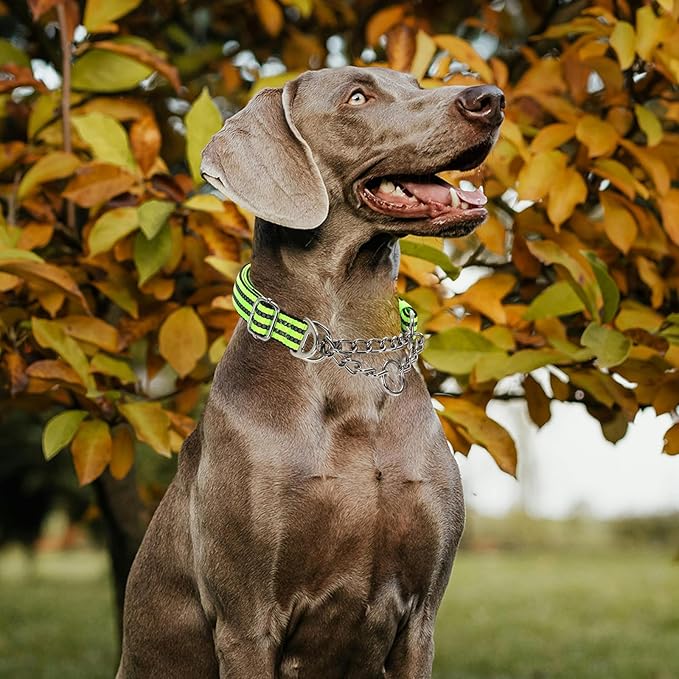 Reflective Martingale Dog Collar - Heavy Duty No-Pull Training Collar with Dual D-Rings, Adjustable Choke Chain Design & Soft Padded for American Bulldog Bullmastiff - Green XXL
