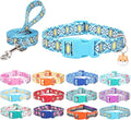 Dog Collar with Leash Airtag Holder Case Set - Dog Collars for Male Female Boy Girl Puppy X-Small Small Medium Large Dogs Walking Running Training - Blue Lattice/XS