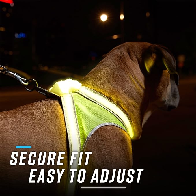 Noxgear LightHound (Large) + High-Visibility Dog Leash – Illuminated and Reflective Harness for Dogs Including Multicolored LED Fiber Optics (USB Rechargeable, Adjustable, Lightweight, Rainproof)