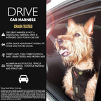 EzyDog Drive Dog Car Harness – Crash Tested and Certified (US-FMVSS 213) Dog Seat Belt Harness for Safe Travel, Adjustable with Padded Comfort (Large)