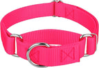 Country Brook Petz - Martingale Dog Collar - Heavy-Duty Training Collar with No Buckle - Service Dog Collar for All Pups - 10+ Warm Colors (Hot Pink, 3/8 Inch, 2XS)