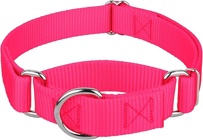 Country Brook Petz - Martingale Dog Collar - Heavy-Duty Training Collar with No Buckle - Service Dog Collar for All Pups - 10+ Warm Colors (Hot Pink, 1 Inch, Large)