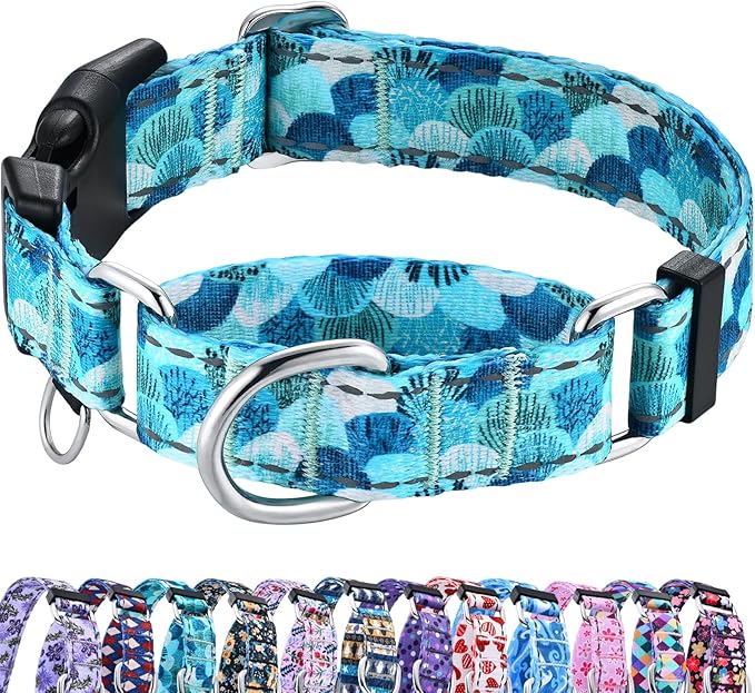 Reflective Martingale Collar with Buckle Adjustable Nylon Training Pet Collars for Small Dogs (Turquoise Shell, S)