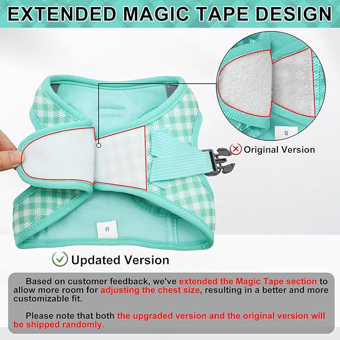 AIITLE Adjustable Dog Harness and Leash Set, Step in No Pull Pet Harness, Soft Mesh Reflective Plaid Vest Harnesses for Small Dogs Puppy and House Cats Outdoor Walking Running Turquoise XS