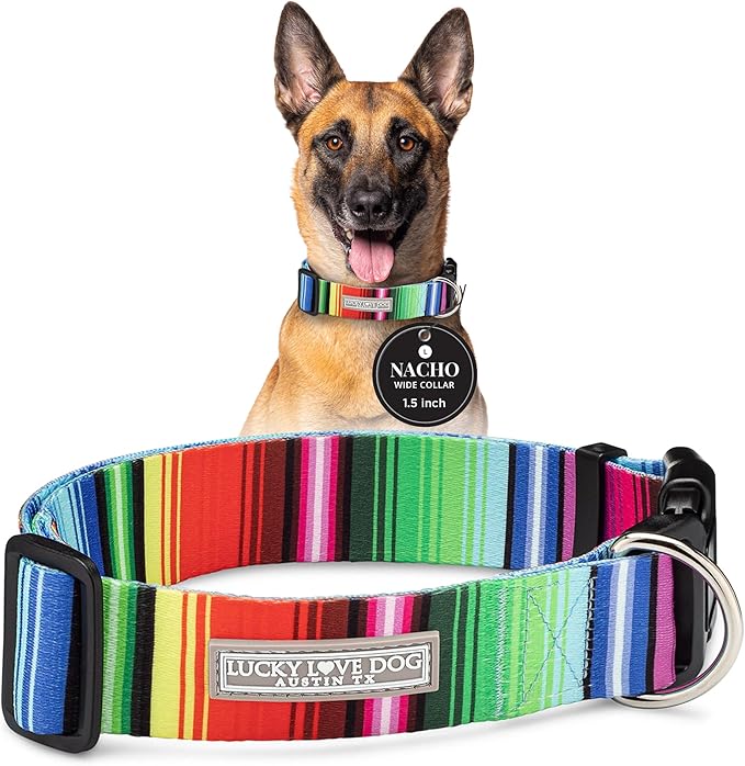 Lucky Love Dog Wide Dog Collar - Adjustable, Durable, Soft Webbing, & Comfortable 1.5 inch Wide Collar for Dogs Male and Female with Strong Buckle - Nacho, Large