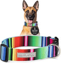 Lucky Love Dog Wide Dog Collar - Adjustable, Durable, Soft Webbing, & Comfortable 1.5 inch Wide Collar for Dogs Male and Female with Strong Buckle - Nacho, Large