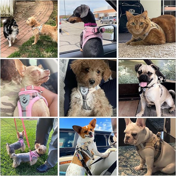 KOOLTAIL Dog Harness and Leash Set for Medium Large Dogs, Step in No Pull Soft Mesh Dog Harness Comfort Padded Pet Vest, Adjustable Reflective Easy Walking Puppy Cats Harnesses Training