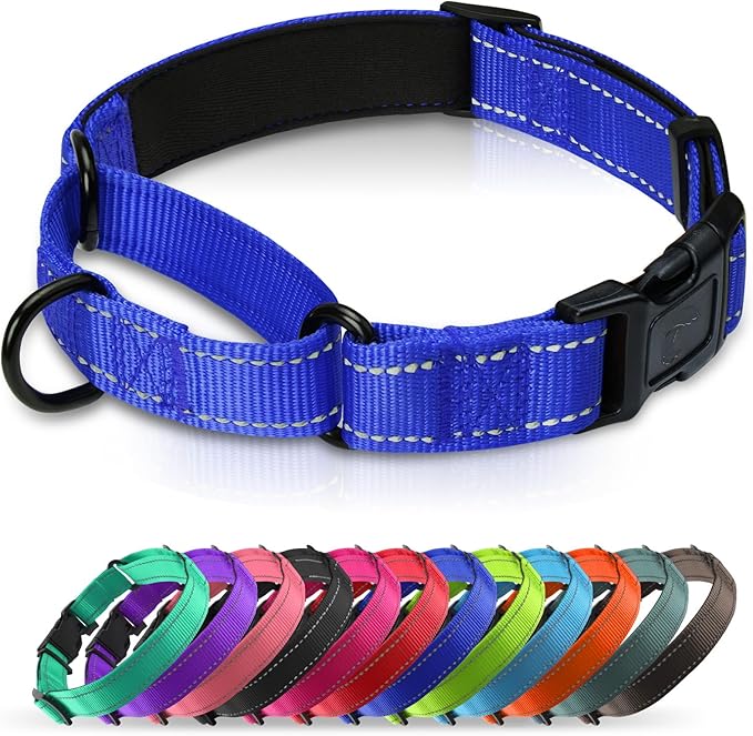 Martingale Collar for Dogs with Quick Release Buckle, Reflective Soft Padded & Escape Proof, Adjustable Nylon Dog Collars for Training & Daily Walking (Royal Blue,M)
