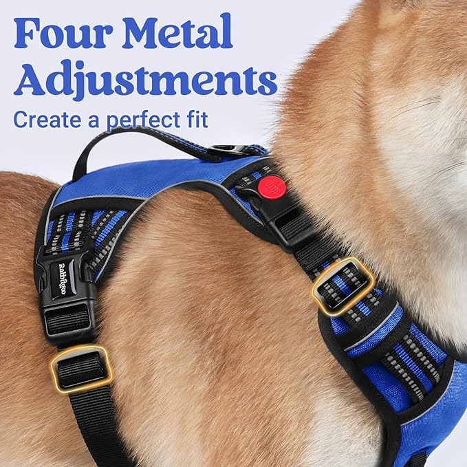 rabbitgoo Dog Harness for Large Dogs, No Pull Pet Harness with Soft Padded Handle, Adjustable Reflective Vest with 3 Buckles, Easy Walking Harness with 2 Leash Clips, Blue, L