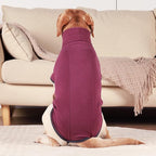 ROZKITCH Dog Winter Coat Soft Pullover Pajamas, Pet Windproof Warm Cold Weather Jacket Vest Cozy Jumpsuit Apparel Outfit Clothes for Walking Hiking Travel Sleep Red 2XS
