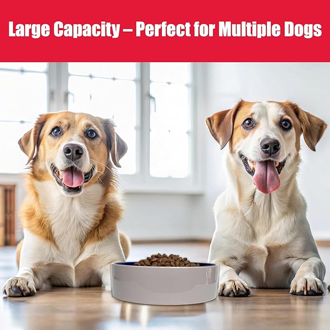 SPOT Standard Crock Dish - Heavy Duty, Non-Slip, Round Ceramic Food/Water Bowl for Pets, Ideal for Medium to Large Dogs or Multiple Animals, Dishwasher Safe - 9.5 in, 8 Cups, (64 Oz)