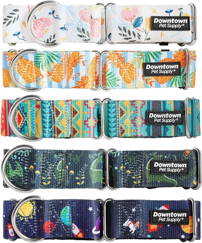 Downtown Pet Supply - Martingale Collar for Dogs - Dog Training Collar - Big, Wide & Thick Dog Collar - Escape-Proof, Weatherproof, Durable and Comfortable - Pineapple - Medium Dog Collar