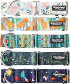 Downtown Pet Supply - Martingale Collar for Dogs - Dog Training Collar - Big, Wide & Thick Dog Collar - Escape-Proof, Weatherproof, Durable and Comfortable - Dino - Large Dog Collar