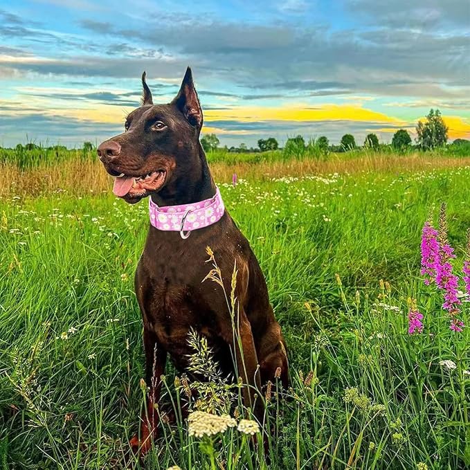 Wide 1.5 Martingale Collar for Girl Dogs,No Pull Heavy Duty Dog Collar for Medium Large Extra Large Female Dogs M