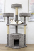 Main Coon Cat House Cat Tree