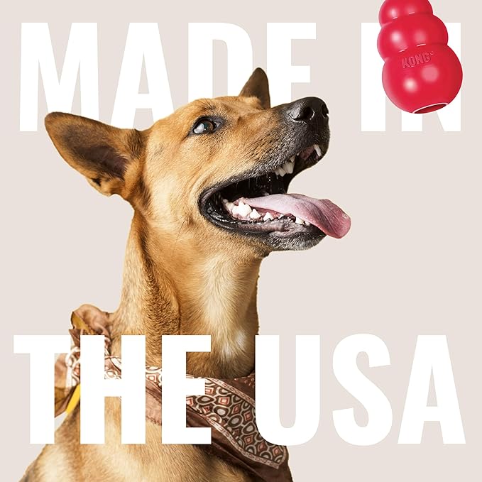 KONG Goodie Bone - Classic Durable Natural Rubber Dog Bone, Supports Mental Engagement - Treat Dispensing - Red - for Large Dogs