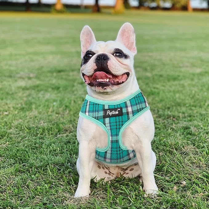 PUPTECK Soft Mesh Dog Harness and Leash Set Pet Puppy Cat Comfort Padded Vest No Pull Harnesses, Green, S