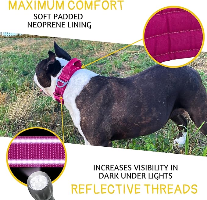 ADITYNA Heavy Duty Dog Collar for Medium Dogs - Reflective Magenta Collar with Handle for Training, and Walking - Wide, Thick, Tactical, Soft Neoprene Padded