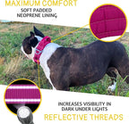 ADITYNA Heavy Duty Dog Collar for Extra-Large Dogs - Reflective Magenta Collar with Handle for Training, and Walking - Wide, Thick, Tactical, Soft Neoprene Padded