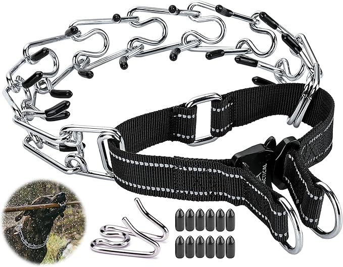 Dog Training Collar with Quick-Release Buckle, Adjustable Stainless Steel Collar for Small Medium Large Dogs (Black, S Neck Girth 11.2"-14.5")