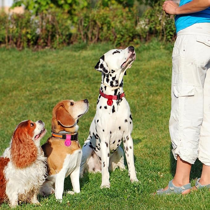 SCENEREAL Large Bell for Dog Collar, 2 Pack 1.5" Extra Loud Collar Bells for Cats and Dogs Training, Hiking, Walking, Hunting, Pet Tracker, Pet Bell for Save Wildlife and Birds Red | Pink