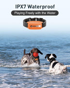 ABBIDOT Shock Collar for Dogs, 3300 FT Dog Training Collar with Remote, IPX7 Waterproof with 4 Training Modes, Rechargeable E-Collar for Small Medium Large Dogs (15-120 lbs)