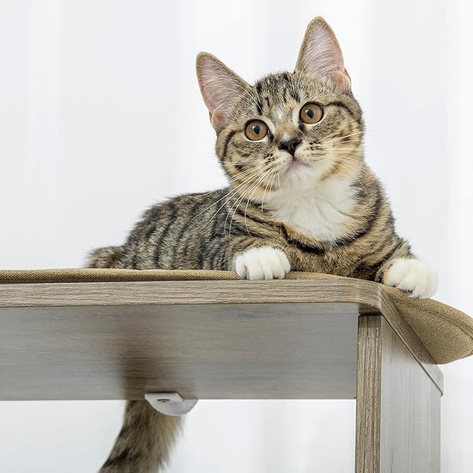 PawHut 65" Corner Modern Cat Tree Tall for Climbing, Large Multilevel Cat Tower with Scratching Posts, Small-Fit Kitten Tower with Sisal, Cream White
