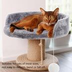 2 Pcs 13.39 Inches Semi Edged Cat Tree Replacement Parts Cat Tree Tower Accessories with Hanging Elastic Strings Pom Pom Toys for Platform Perch Shelves(Gray)