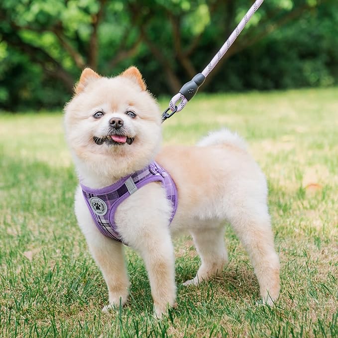 BEAUTYZOO Small Dog Harness and Leash Set,Step in No Choke No Pull Soft Mesh Dog Harnesses Reflective for Extra-Small Medium Puppy Dogs and Cats, Plaid Dog Vest Harness for XS S Pets, Purple S