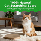 Round Cat Scratcher Refill, 10" Diameter Cat Scratching Board for Indoor Cats, Cardboard Cat Scratcher Pads，Double-Sided (2 PCS)