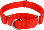 Country Brook Petz - Martingale Dog Collar - Heavy-Duty Training Collar with No Buckle - Service Dog Collar for All Pups - 10+ Warm Colors (Hot Orange, 3/8 Inch, 2XS)