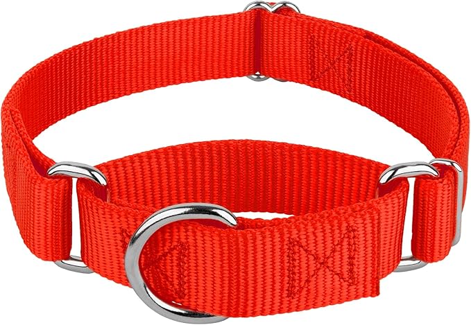 Country Brook Petz - Martingale Dog Collar - Heavy-Duty Training Collar with No Buckle - Service Dog Collar for All Pups - 10+ Warm Colors (Hot Orange, 3/8 Inch, 3XS)