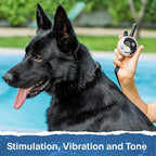 Educator ET-302 Zen Mini E Collar for Dog Training with Remote - 1/2 Mile Range, Waterproof, 100 Blunt Stimulation Levels, Tone or Vibration Mode, Night Light for Small, Medium & Large Dogs (2 Dogs)