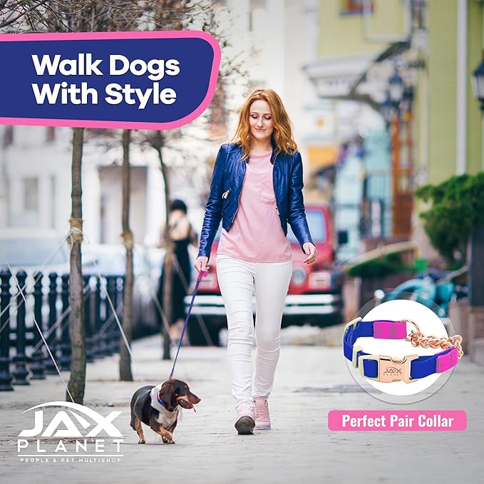 Jelly Colorful Dog Leash, Waterproof Training Leash for Walking, Hiking & Outdoor Activities, Non-Slip Grip, Anti-Odor Nylon Lead with Alloy O-Ring, Heavy Duty - M150, 5FT - Blue & Rose, M