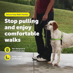 PetSafe Easy Walk Deluxe Dog Harness, No Pull Dog Harness – Perfect for Leash & Harness Training – Stops Pets from Pulling and Choking on Walks – Medium, Apple