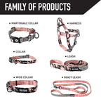 Wolfgang Heavy Duty, Adjustable Dog Collar with Quick Release Nylon Buckle for Walking & Training, HoundsPink Print, Small
