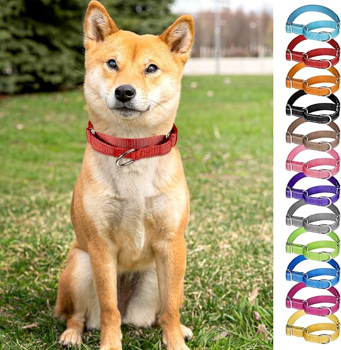 12 Pcs Martingale Collar for Medium Dogs Adjustable Pet Training Collar Reflective Dog Collar with Durable Metal Buckle Heavy Duty Nylon No Pull Martingale Collar for Small Medium Large Dogs, Small