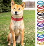 12 Pcs Martingale Collar for Medium Dogs Adjustable Pet Training Collar Reflective Dog Collar with Durable Metal Buckle Heavy Duty Nylon No Pull Martingale Collar for Small Medium Large Dogs, Small
